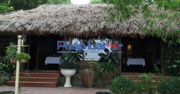 Lấy cớ chăm sóc và bảo vệ tre, nhà hàng Tre place vi phạm luật đê điều