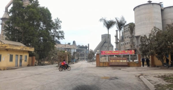 Công ty cổ phần Xi măng Bắc Giang bị cưỡng chế ngừng sử dụng hoá đơn