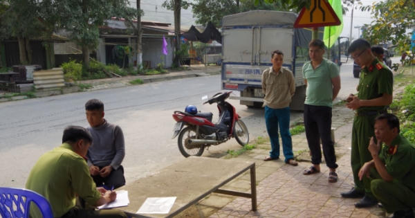 Chở gốc cây hoa hồng rừng, lái xe tải bị giữ ô tô 30 ngày