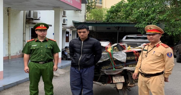 Quảng Ninh: CSGT bắt vụ vận chuyển trái phép gia cầm không rõ nguồn gốc