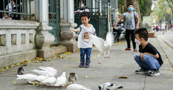 Phố đi bộ quanh hồ Gươm đông vui, thanh bình như chưa từng có dịch Covid-19