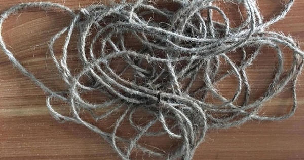 Chết tức tưởi vì xin đi nhờ xe… kẻ cướp