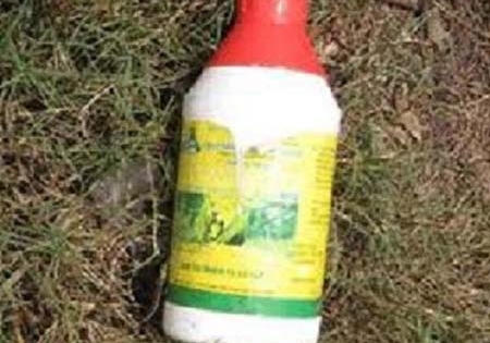 Nghi án mẹ sát hại con trai 2 tuổi rồi uống thuốc lạ tự vẫn