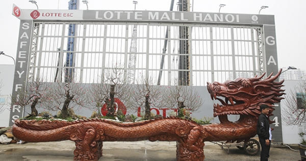 Chậu đào “siêu khủng” cho thuê giá 700 triệu đồng có gì đặc biệt?