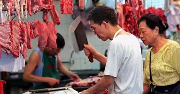 Chất bột lạ giúp thịt lợn siêu nạc, độc hại kinh người Chất bột lạ giúp thịt lợn siêu nạc, độc hại kinh người