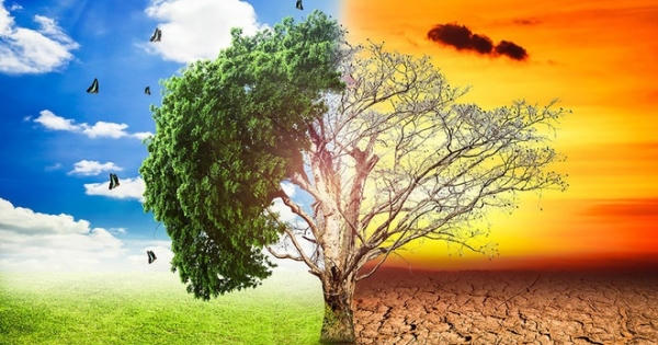 Loài người sẽ tuyệt chủng do biến đổi khí hậu?