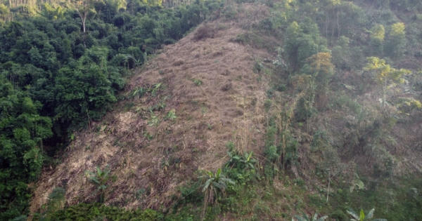 Kỳ 5 (Kỳ cuối) – Khi báo chí đồng hành cùng Hà Giang quyết tâm bảo vệ rừng