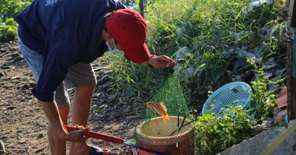 Sài Gòn: Người thả, kẻ "bắt"... ông Táo