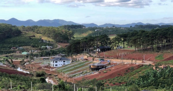 UBND TP Bảo Lộc có biểu hiện buông lỏng công tác quản lý sử dụng đất đai