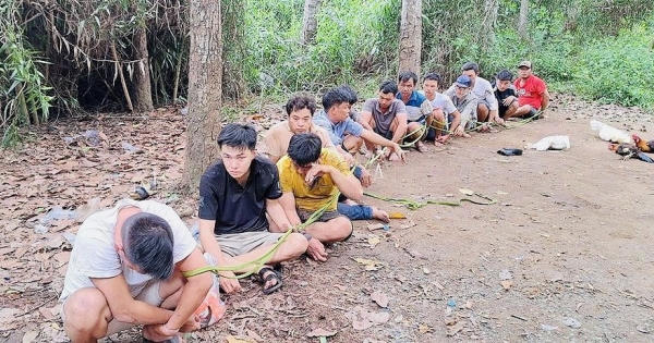 Đồng Nai: Triệt phá sới bạc trong rừng tràm