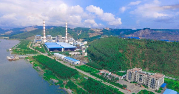 Xử phạt và truy thu thuế đối với Nhiệt điện Quảng Ninh (QTP)