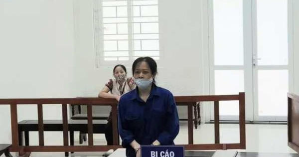 Phạt tù một luật sư vì lợi dụng các quyền tự do dân chủ