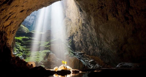 Đứa con làng Phong Nha nối nhịp cầu “trả nợ” rừng xanh