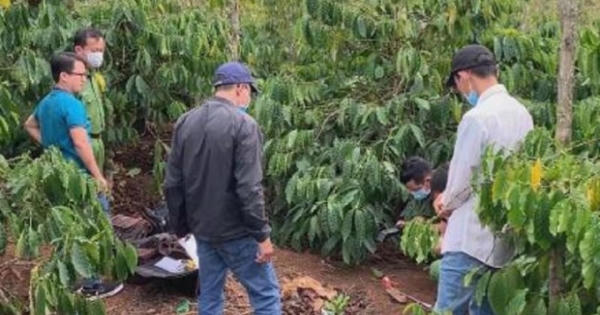 Đắk Lắk: Bắt được hung thủ sát hại cô gái trẻ ở rẫy cà phê