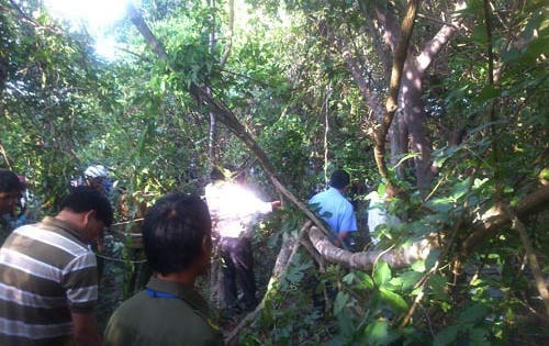 Phát hiện thi thể người đàn ông trong rừng sau nhiều ngày mất tích