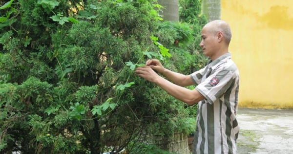 Nỗi niềm nam phạm nhân 45 tuổi lỡ tay thiêu chết 'vợ hờ'