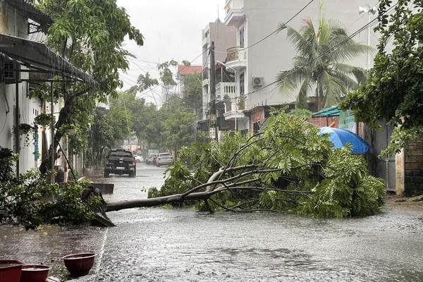 Quảng Ninh: Hàng loạt cây xanh bị quật ngã, nhiều tuyến đường ngập lụt khi bão số 2 đổ bộ