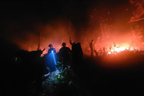 Quảng Ninh: Hàng trăm người tham gia chữa cháy rừng tại TP Hạ Long