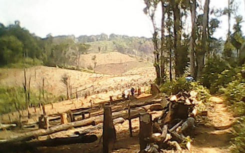 Lâm Đồng: Truy bắt lâm tặc, 1 người bị thương phải nhập viện Lâm Đồng: Truy bắt lâm tặc, 1 người bị thương phải nhập viện