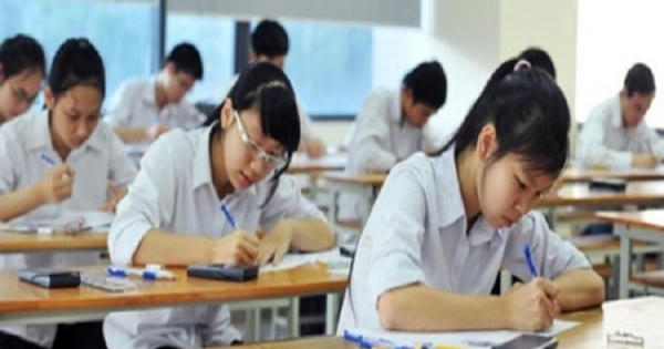 Thi khối A vào ngành xã hội, khối C lại vào kinh tế
