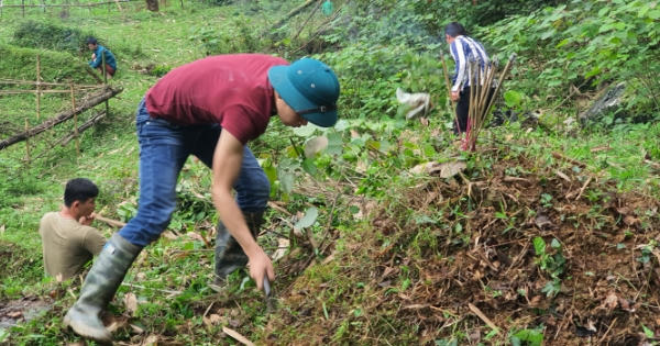 Cao Bằng: Rộn ràng "tảo mộ" dịp tết Thanh Minh