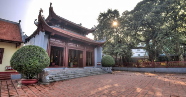 Chuyện ít biết về Trâu vàng linh thiêng