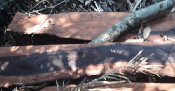 Quảng Bình: Tiết lộ bất ngờ về chân tướng nhóm lâm tặc phá rừng gỗ quý ở Phong Nha - Kẻ Bàng Quảng Bình: Tiết lộ bất ngờ về chân tướng nhóm lâm tặc phá rừng gỗ quý ở Phong Nha - Kẻ Bàng