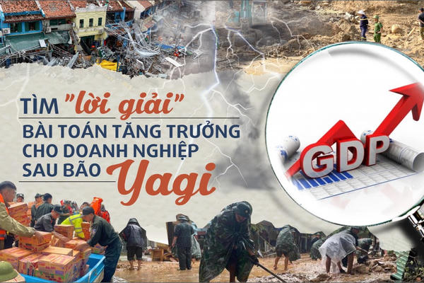 Tìm “lời giải” bài toán tăng trưởng cho doanh nghiệp sau bão Yagi