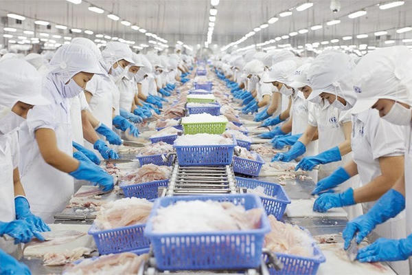 Xuất khẩu thuỷ sản đạt trên 10 tỷ USD