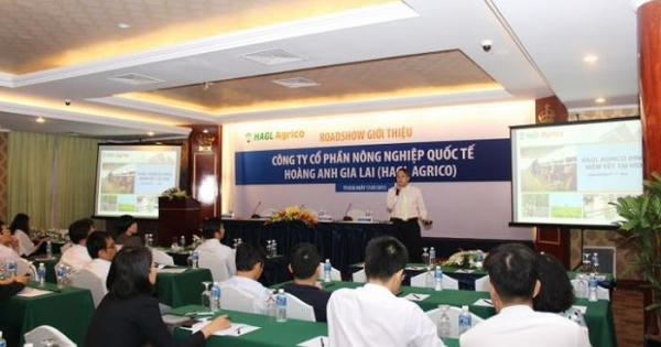 HAGL lãi 120 tỷ năm 2021, cổ phiếu HAG thăng hoa