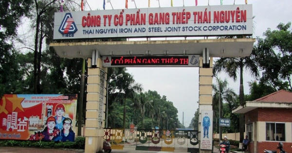 Kiểm toán nghi ngờ về khả năng hoạt động liên tục của Tisco