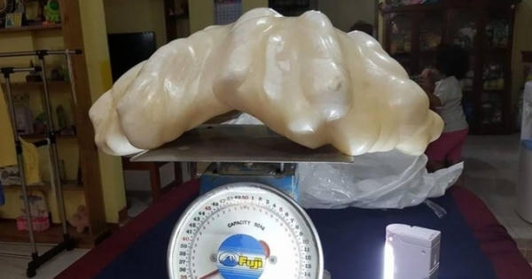 Nằm trên núi tiền suốt 10 năm mà không hề hay biết