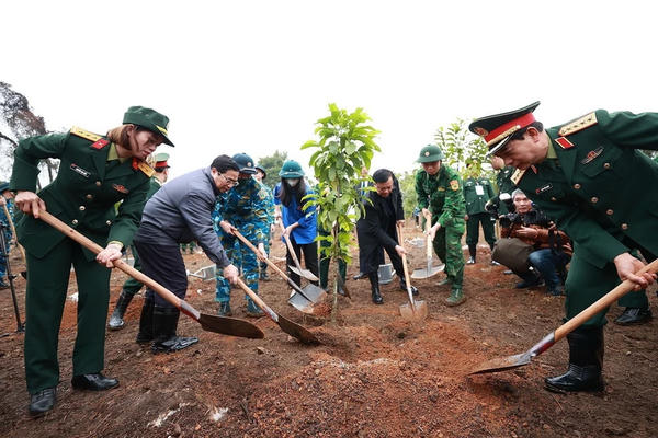 Thủ tướng chỉ thị tổ chức Tết trồng cây, tăng cường công tác quản lý, bảo vệ, phát triển rừng Thủ tướng chỉ thị tổ chức Tết trồng cây, tăng cường công tác quản lý, bảo vệ, phát triển rừng