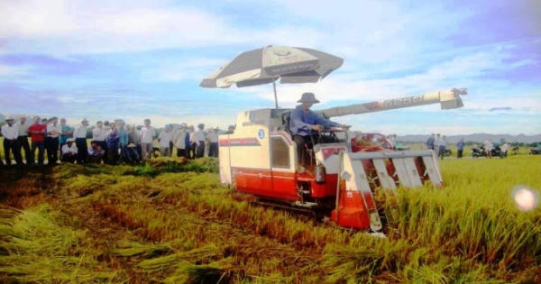 Quảng Ngãi: Phân bổ 394,2 tỷ đồng xây dựng nông thôn mới Quảng Ngãi: Phân bổ 394,2 tỷ đồng xây dựng nông thôn mới