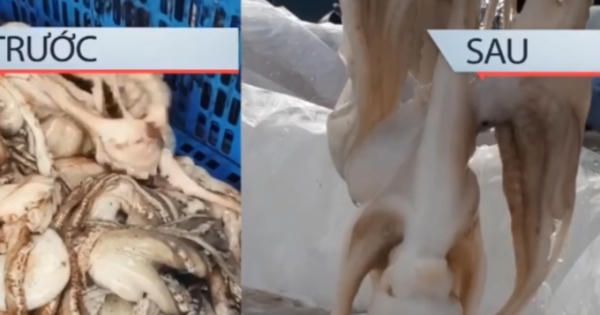 Kinh hoàng công đoạn phù phép hải sản ôi thành tươi ngon