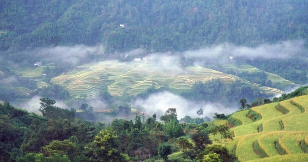 Ngây ngất với "mùa vàng" ở Hoàng Su Phì! Ngây ngất với "mùa vàng" ở Hoàng Su Phì!