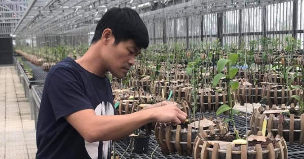 Chiến sĩ công an đam mê loài hoa Lan