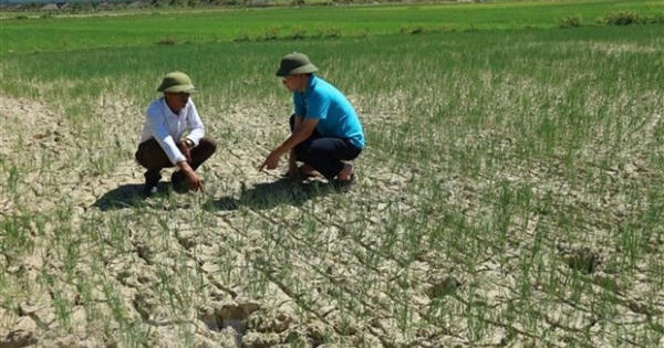 Bắc Bộ và Trung Bộ đón đợt nắng nóng trên diện rộng