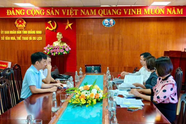 Xử phạt chủ tàu tổ chức cho du khách chơi môn thể thao Pickleball trên boong tàu ở trên vịnh Hạ Long