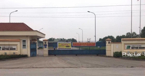 Xử phạt Công ty Better Resin 80 triệu đồng