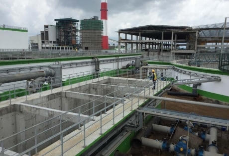 Sẽ dừng dự án nhà máy bột giấy Trung Quốc?