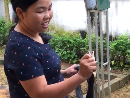 Cộng đồng mạng thán phục cô giáo mầm non tay không bắt rắn hổ mang trong vườn trường