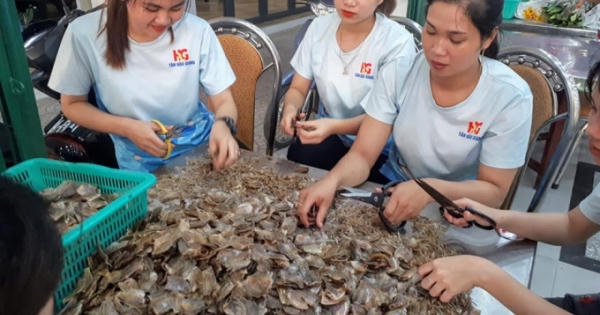 Thực hiện Chương trình quốc gia hỗ trợ doanh nghiệp nâng cao năng suất và chất lượng sản phẩm, hàng hóa