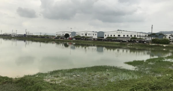 Xin cải tạo để trồng sen, đào hồ thành “hố tử thần” đem tài nguyên đi bán