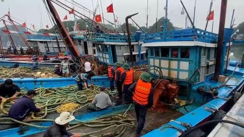 Bộ Quốc phòng huy động hơn 346.000 cán bộ chiến sĩ, sẵn sàng ứng phó với cơn bão số 3 Wipha