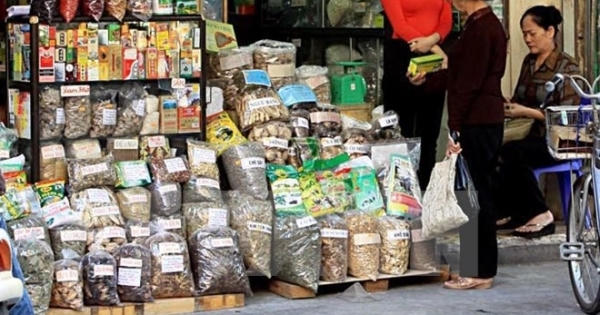 Đông dược trộn lẫn tân dược, nguy hại khôn lường Đông dược trộn lẫn tân dược, nguy hại khôn lường