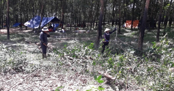 “Đau đầu” chuyện giải phóng mặt bằng sân bay Long Thành vì nhiều đất vắng chủ!