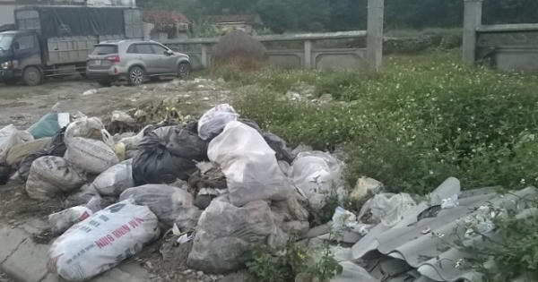 Nghệ An: "Nhói lòng" khu di chỉ khảo cổ học thành nơi tập kết rác