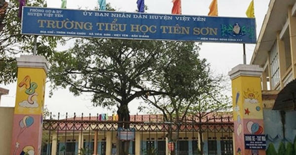Loạt nghi án 'dậy sóng' dư luận về đạo đức nhà giáo