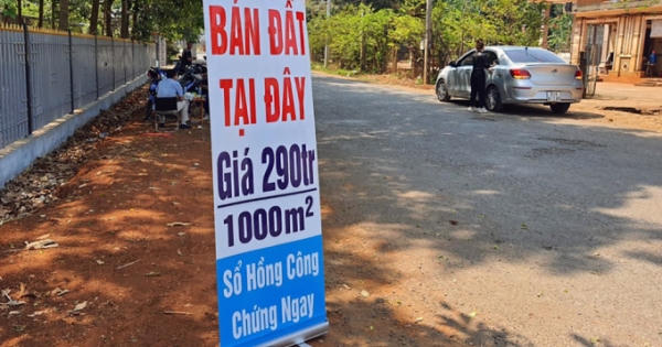 Tước chứng chỉ môi giới, đình chỉ sàn giao dịch nếu vi phạm Tước chứng chỉ môi giới, đình chỉ sàn giao dịch nếu vi phạm